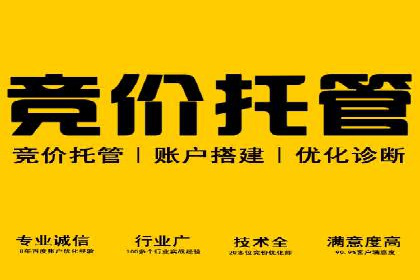 案例研究：SEM优化助力企业品牌建设